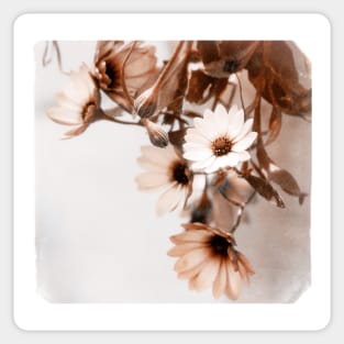 Flowers Art Poster Sticker